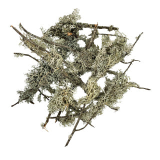 WIO Lichen Branches Mix 100g
