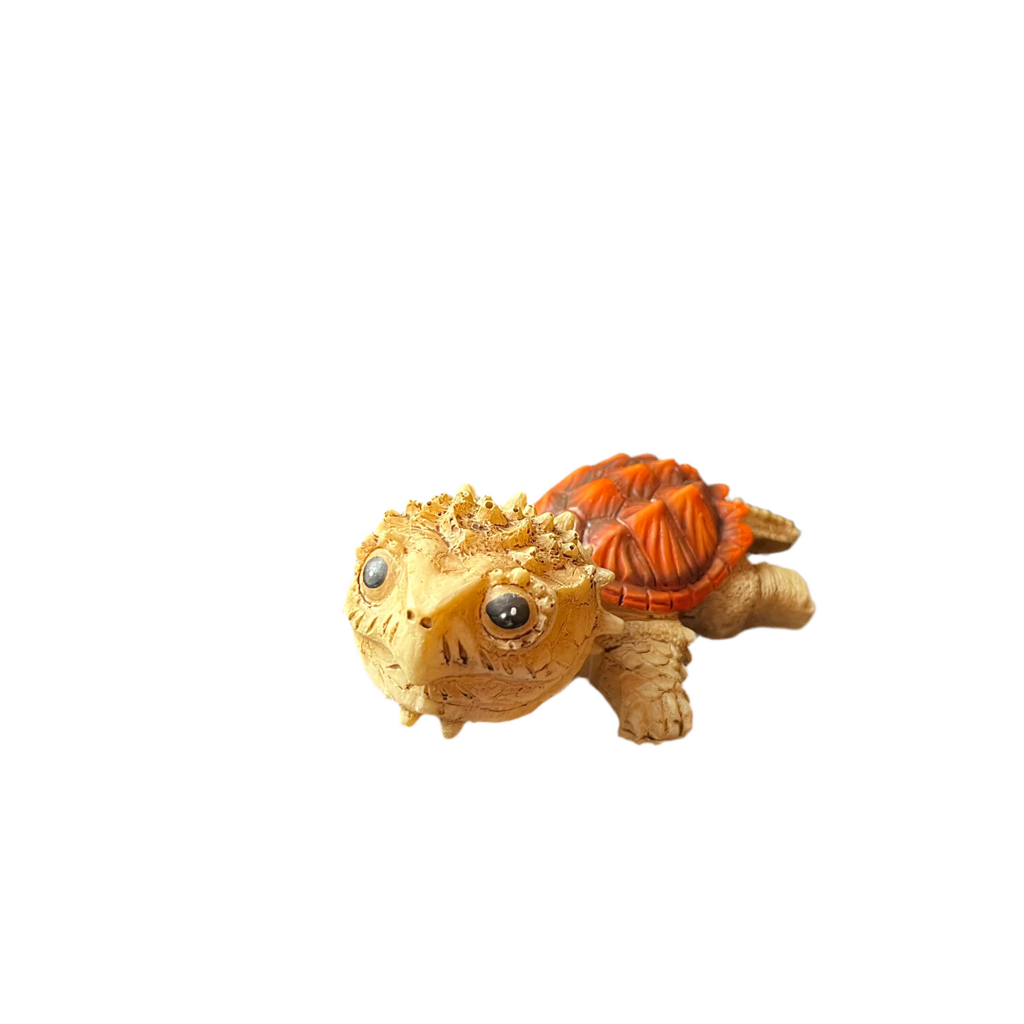 Betta Baby Terrapin