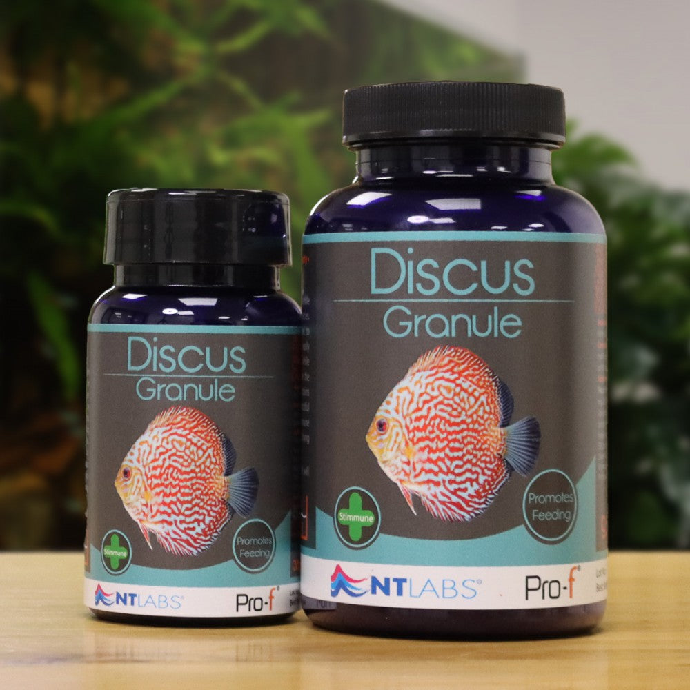 NT Labs Discus Pro-f Granule