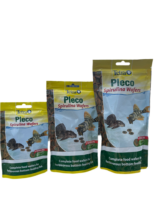 Tetra Pleco Spirulina Wafer