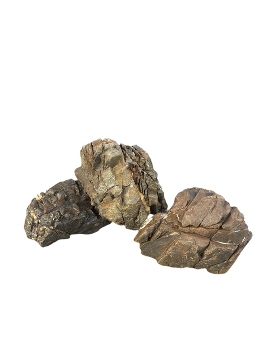 Wio Elderly Stone