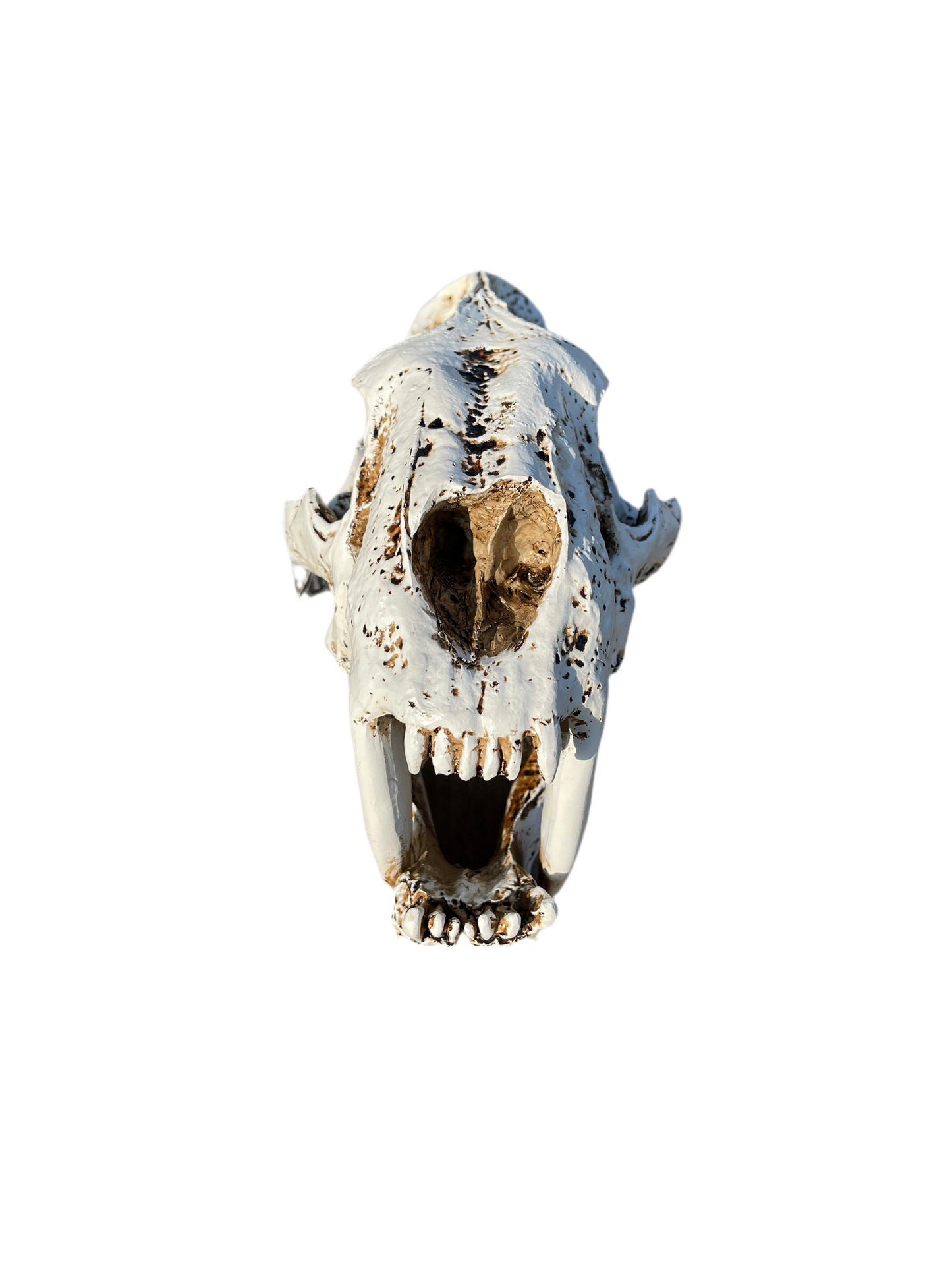 ProRep Smilodon Skull Ornament