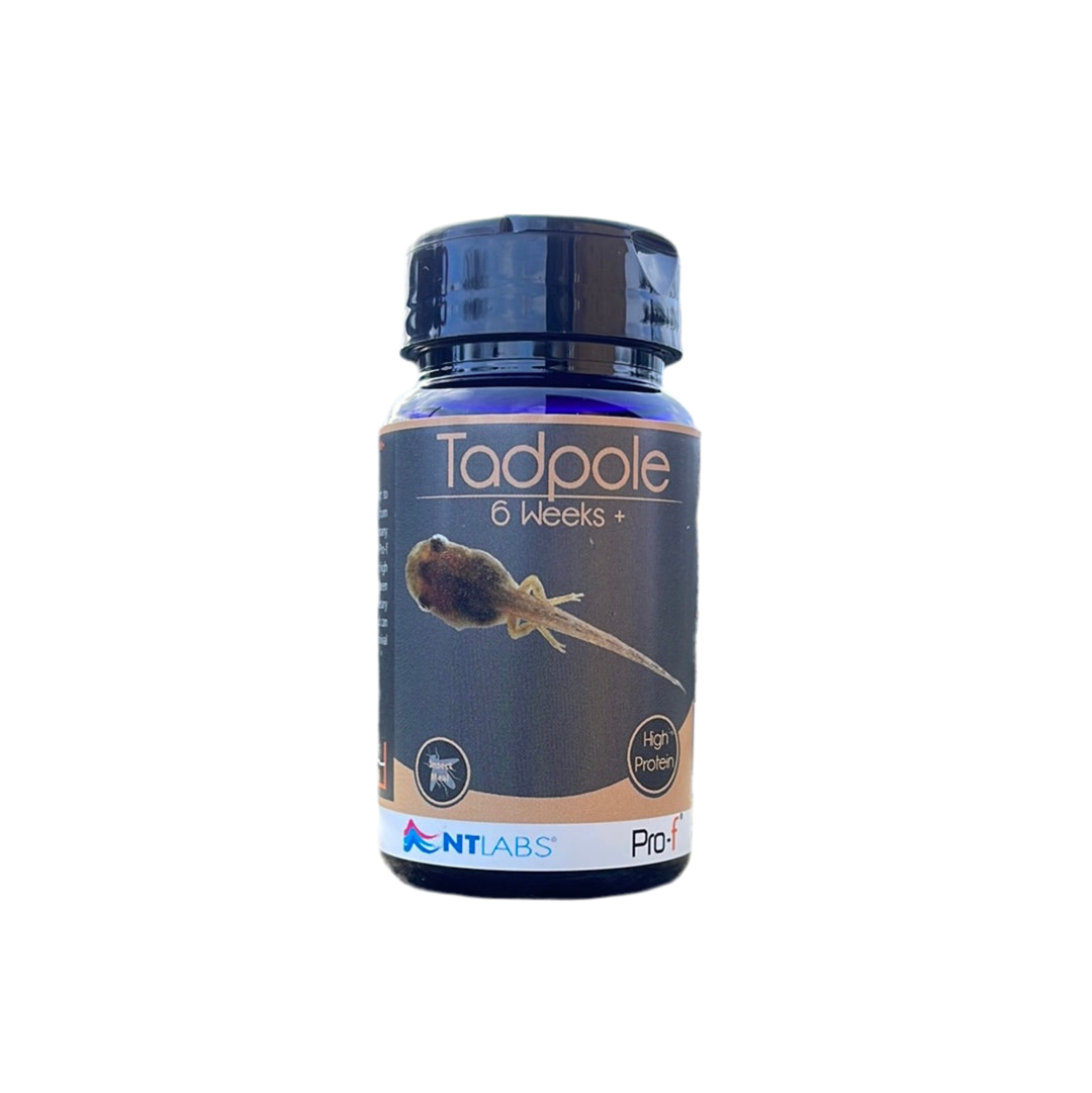 NT Labs Pro Tadpole 6weeks+