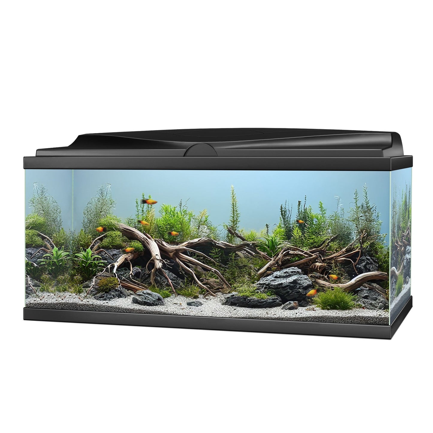Ciano Aqua 85 Pro LED