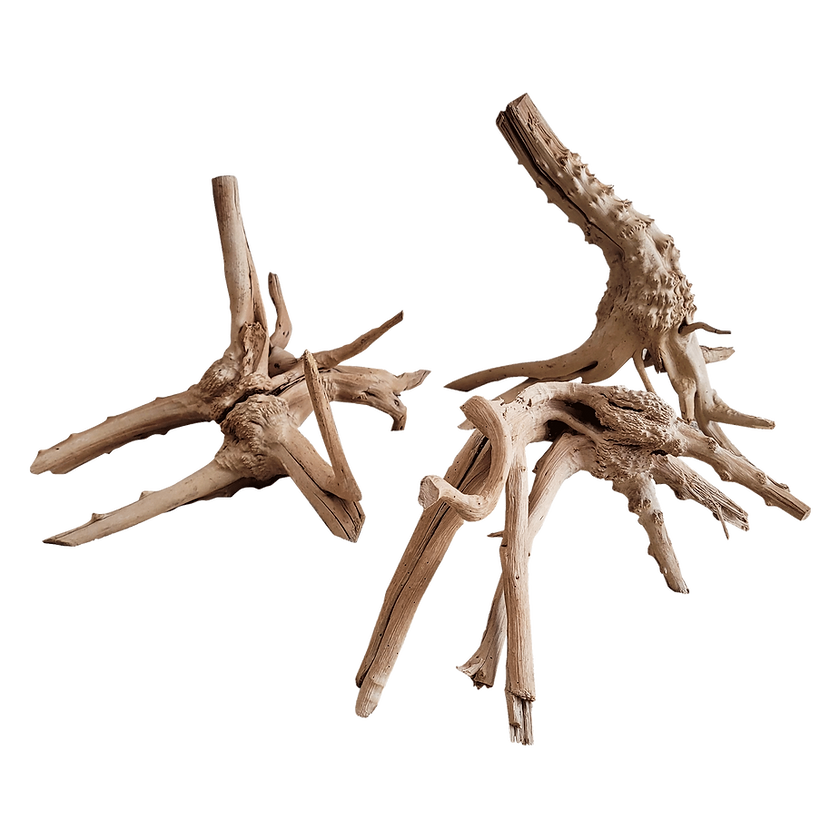 WIO Tree Trunk Wood