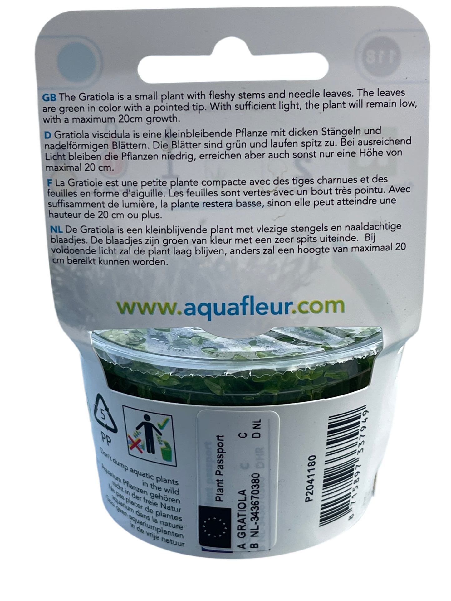 AquaFleur - EasyGrow Gratiola Viscidula