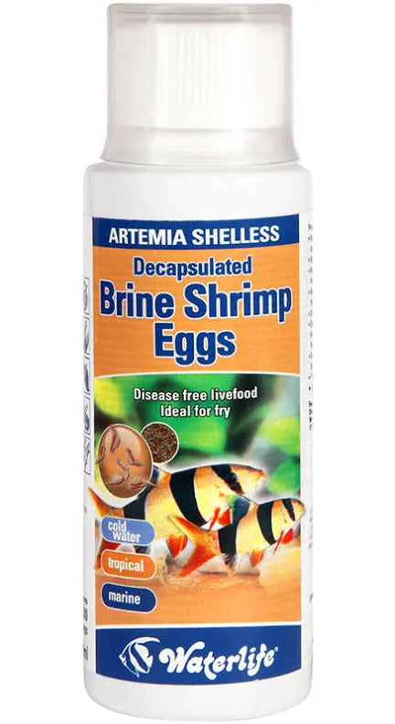 Waterlife Decapsulated Brine Shrimp Eggs