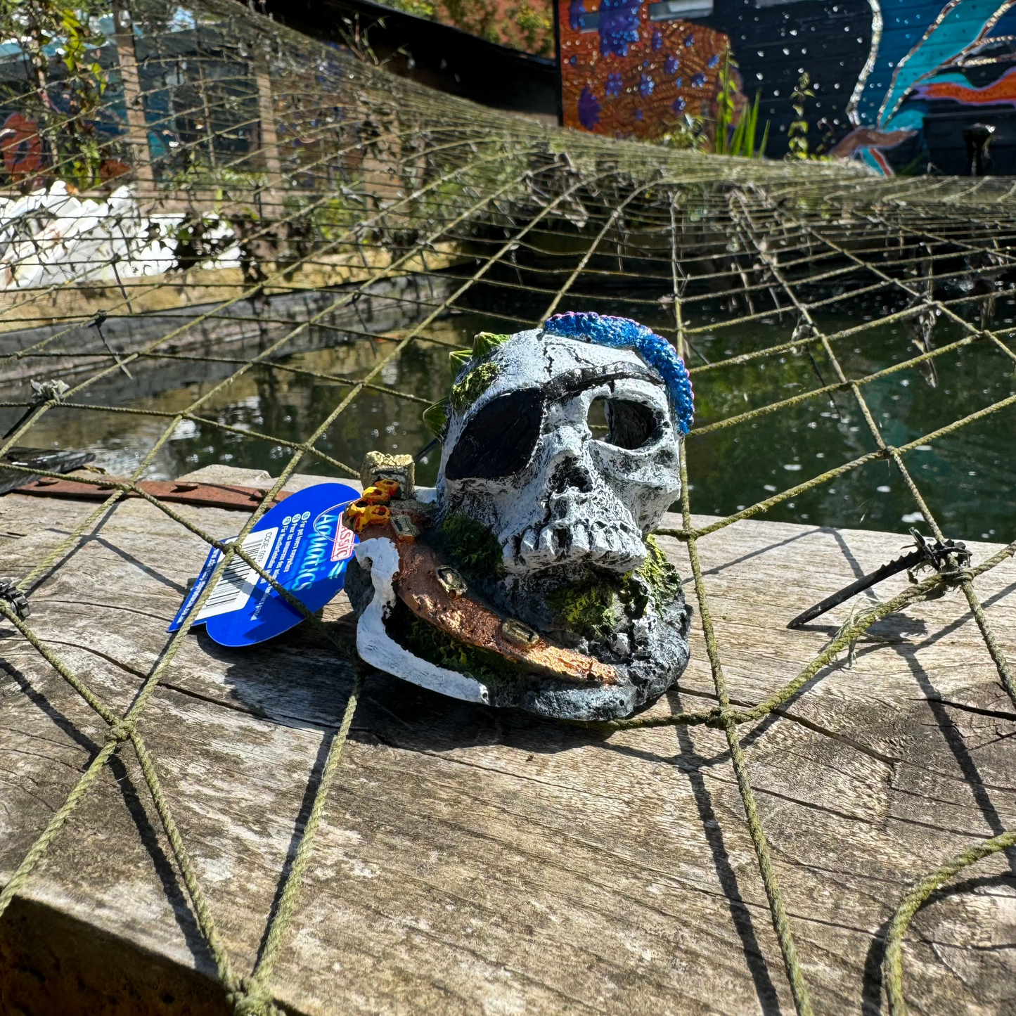 Classic Aquatics | Skull Ornament 