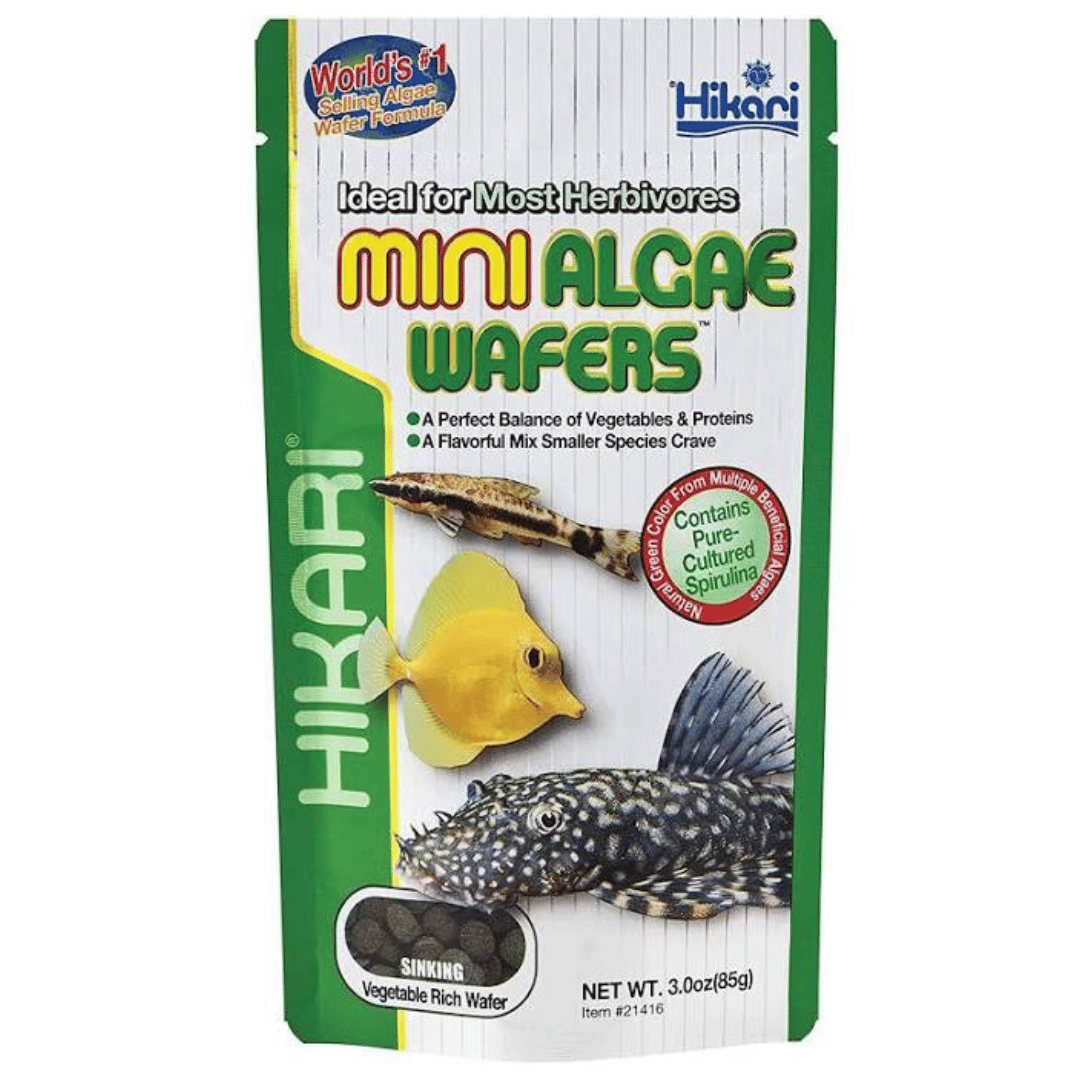 Hikari Algae Wafer Mini