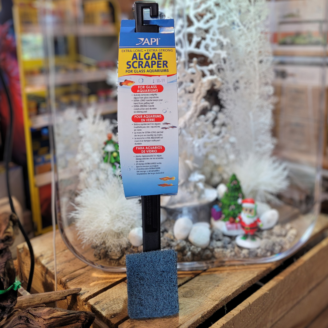 API Algae Scraper With Handle For Glass Aquariums