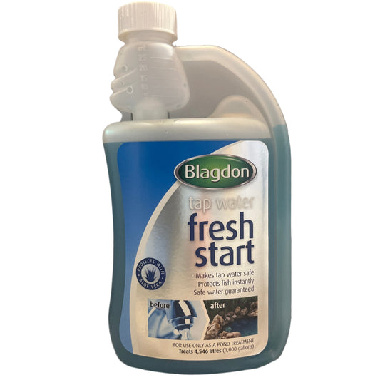 blagdon fresh start