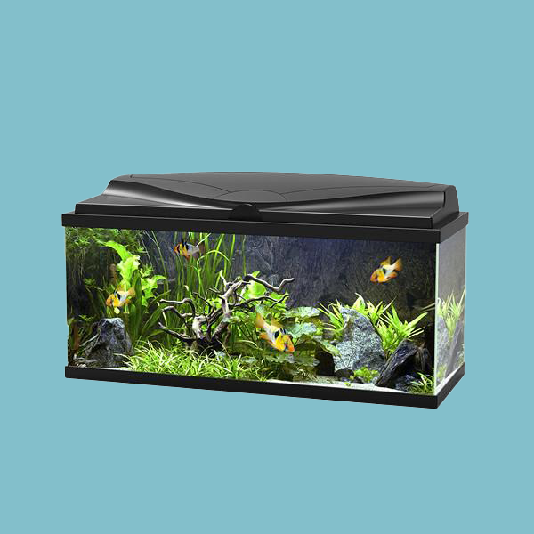 Ciano Aqua 80 LED Aquarium