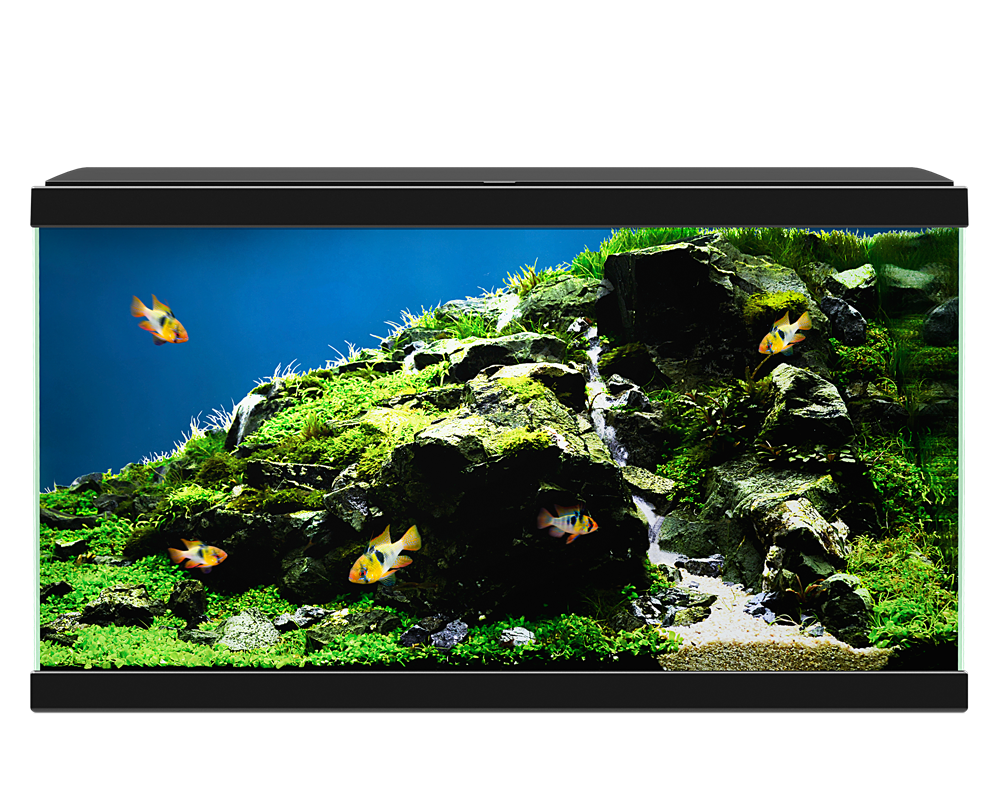 Ciano Aqua 60 Plus LED Aquarium