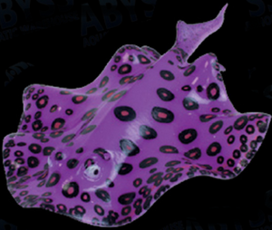 Classic Aquatics Aqua Lumo Stingray Ornament