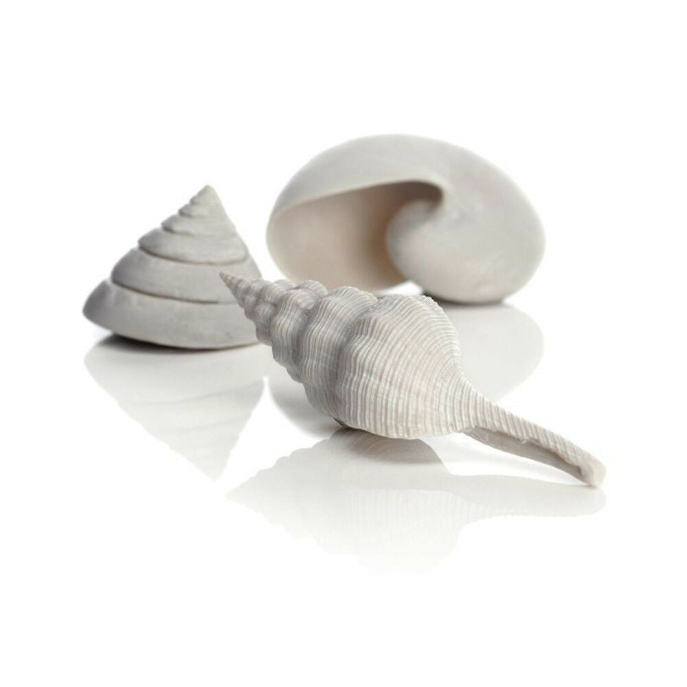 Biorb Ornament Assorted Sea Shells