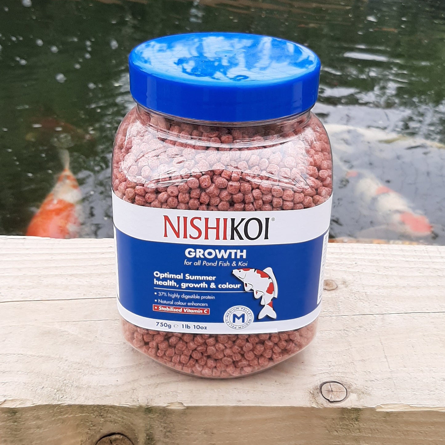 NishiKoi Growth