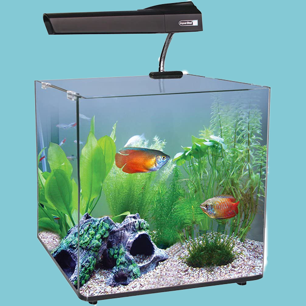 Aqua One AquaNano 40L Aquarium