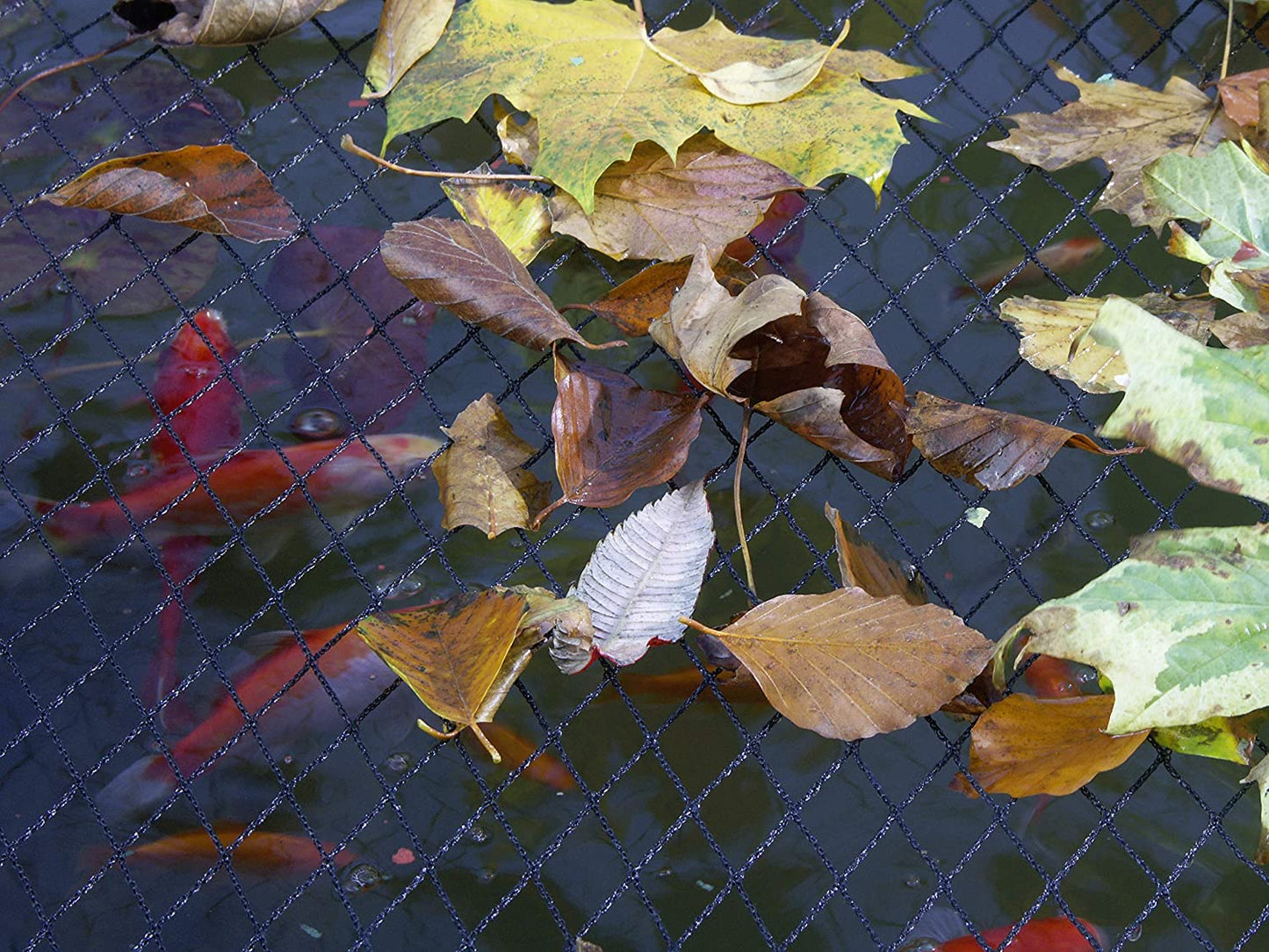 Blagdon Clearview Pond Cover Net