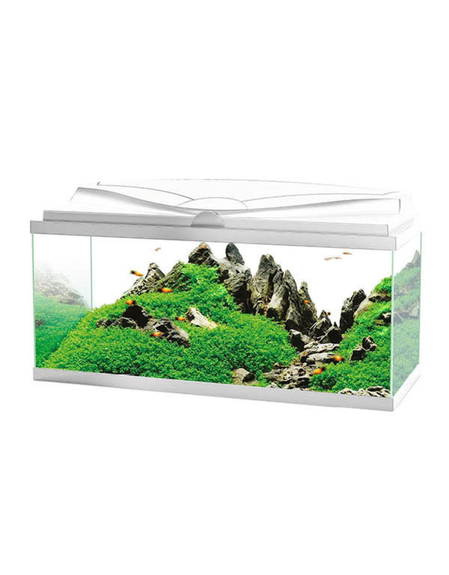 Ciano Aqua 80 LED Aquarium