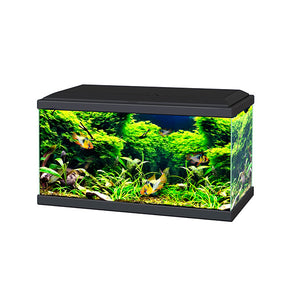 Ciano Aqua 60 LED Aquarium