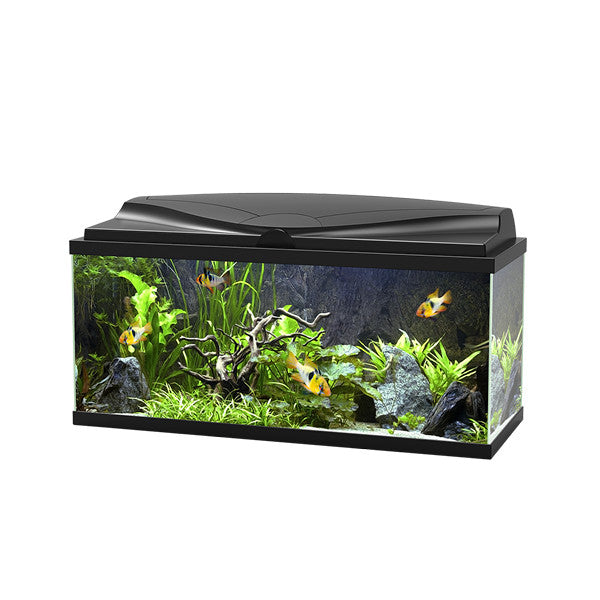Ciano Aqua 80 LED Aquarium