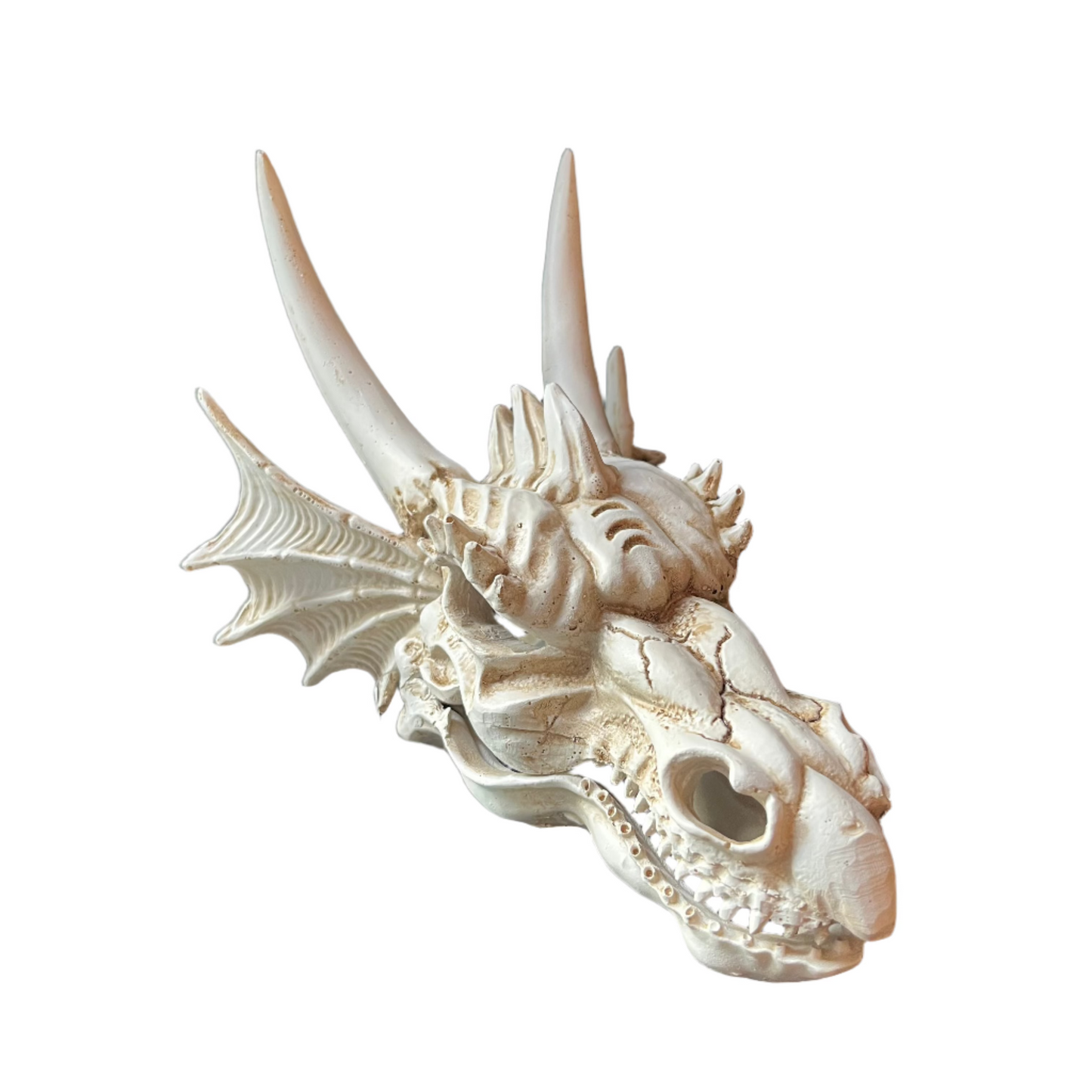 dragon skull aquarium ornament
