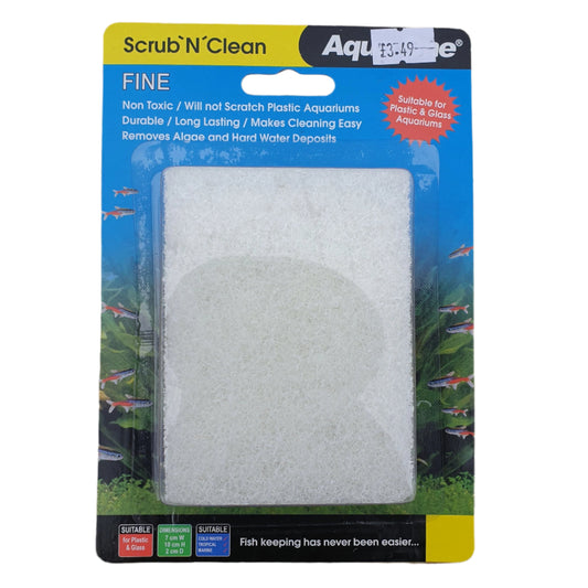 fine algae scrub n clean