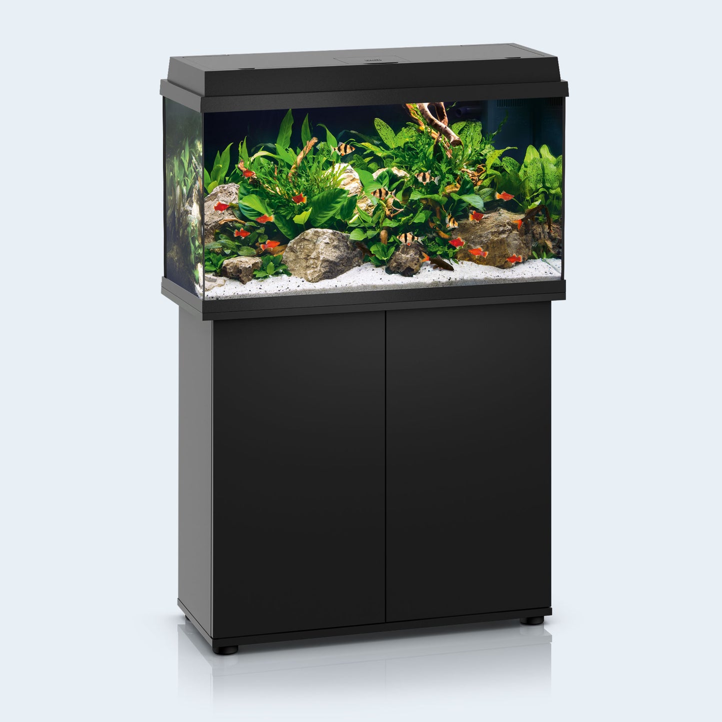 Juwel Primo 60 LED Aquarium