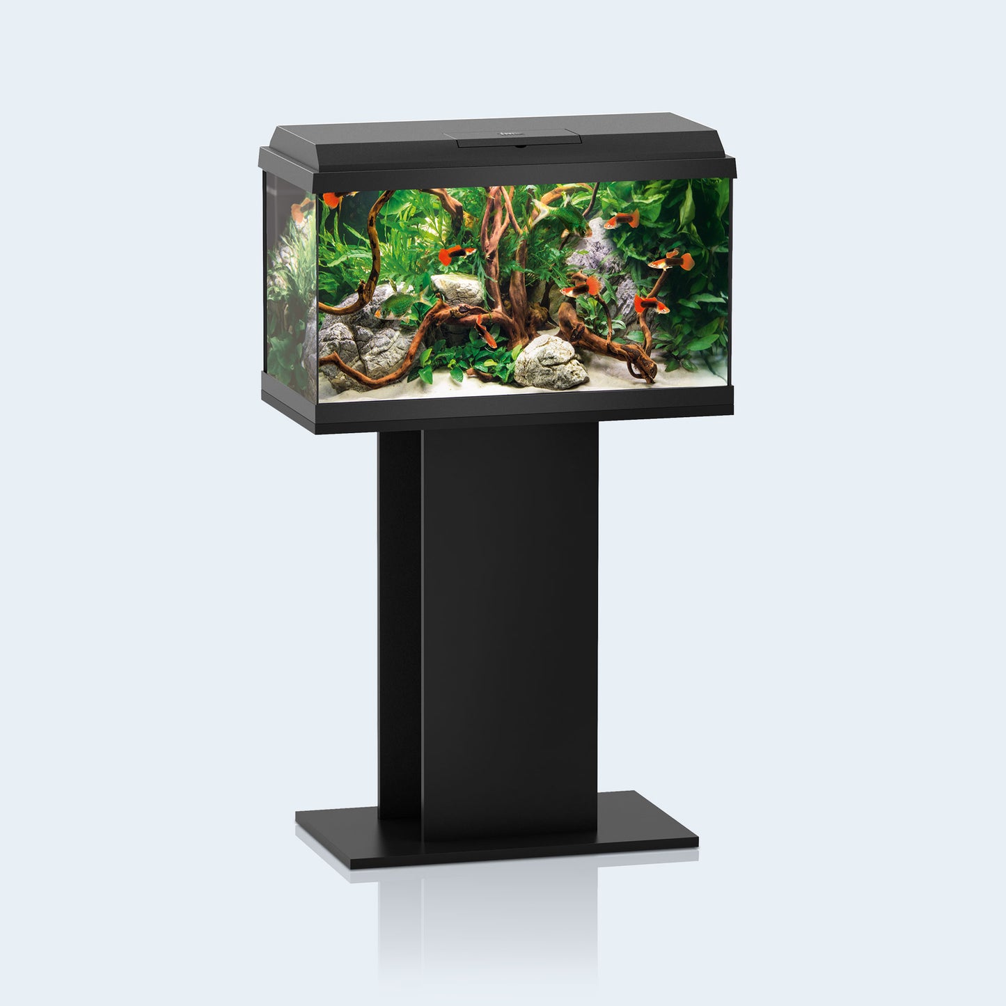 Juwel Primo 60 LED Aquarium