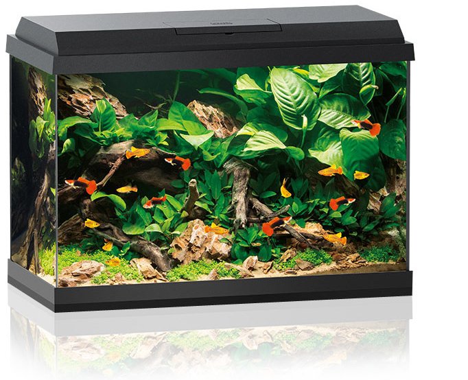 Juwel Primo 70 LED Aquarium