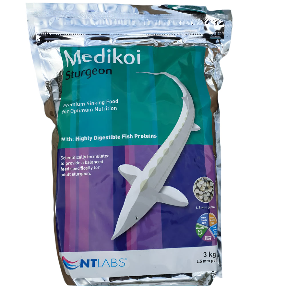 medikoi premium sinking food for sturgeon fish