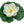 Load image into Gallery viewer, Pontec Pondolily Pond lily ornament
