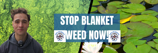 Conquering Blanket Weed: Practical Strategies for Clear Pond Water