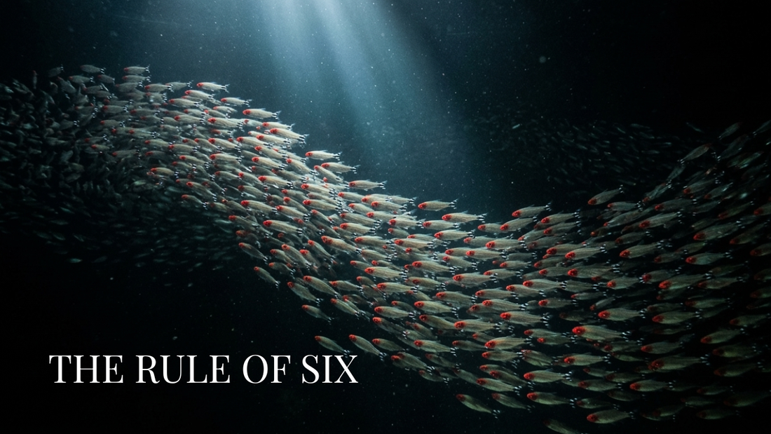 The Rule of Six — Where Does It Actually Come From?