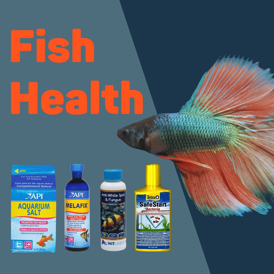 Aquarium Fish Health