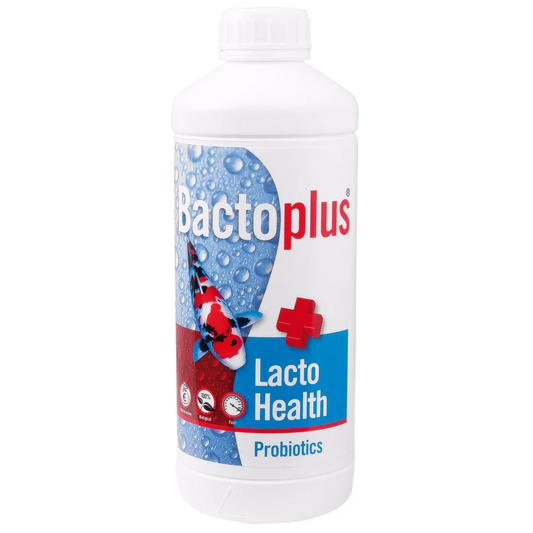 BactoPlus Lacto Health Probiotic 1L