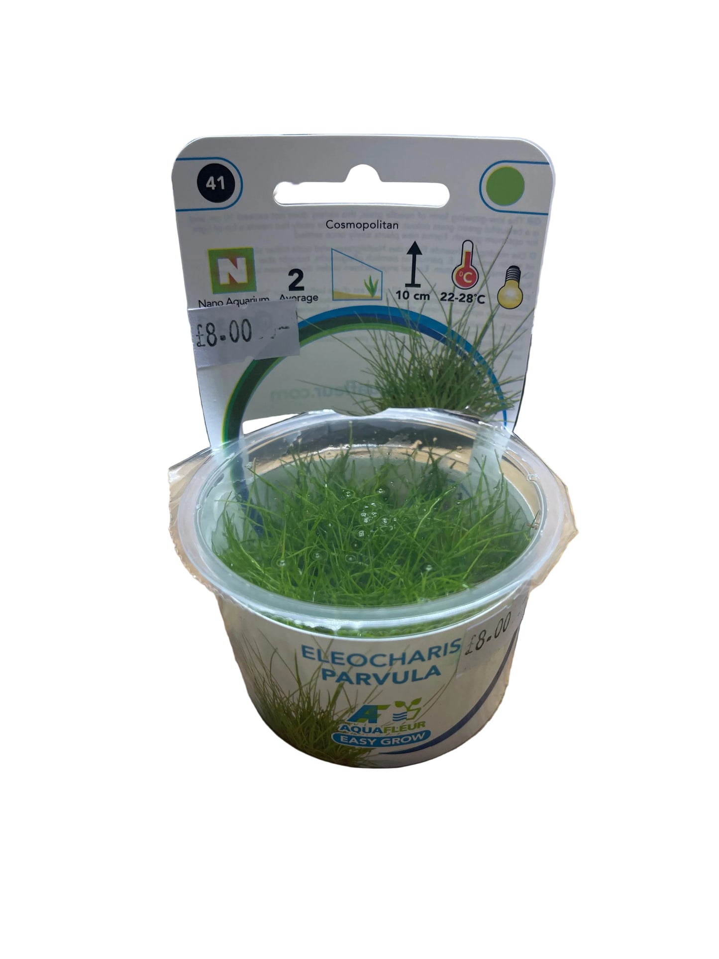 AquaFleur - EasyGrow Eleocharis Parvula