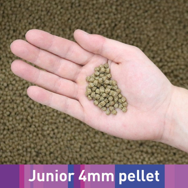 NT Labs Medikoi Growth Junior Food