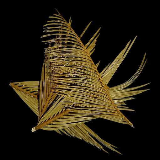 WIO Cyca Leaves