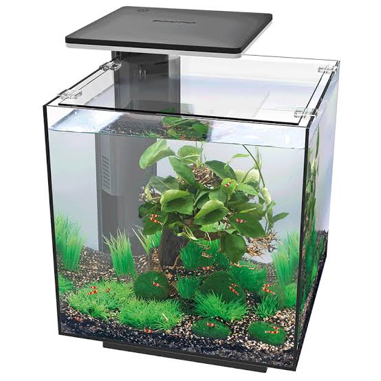 SuperFish Qubiq 30 Pro Aquarium