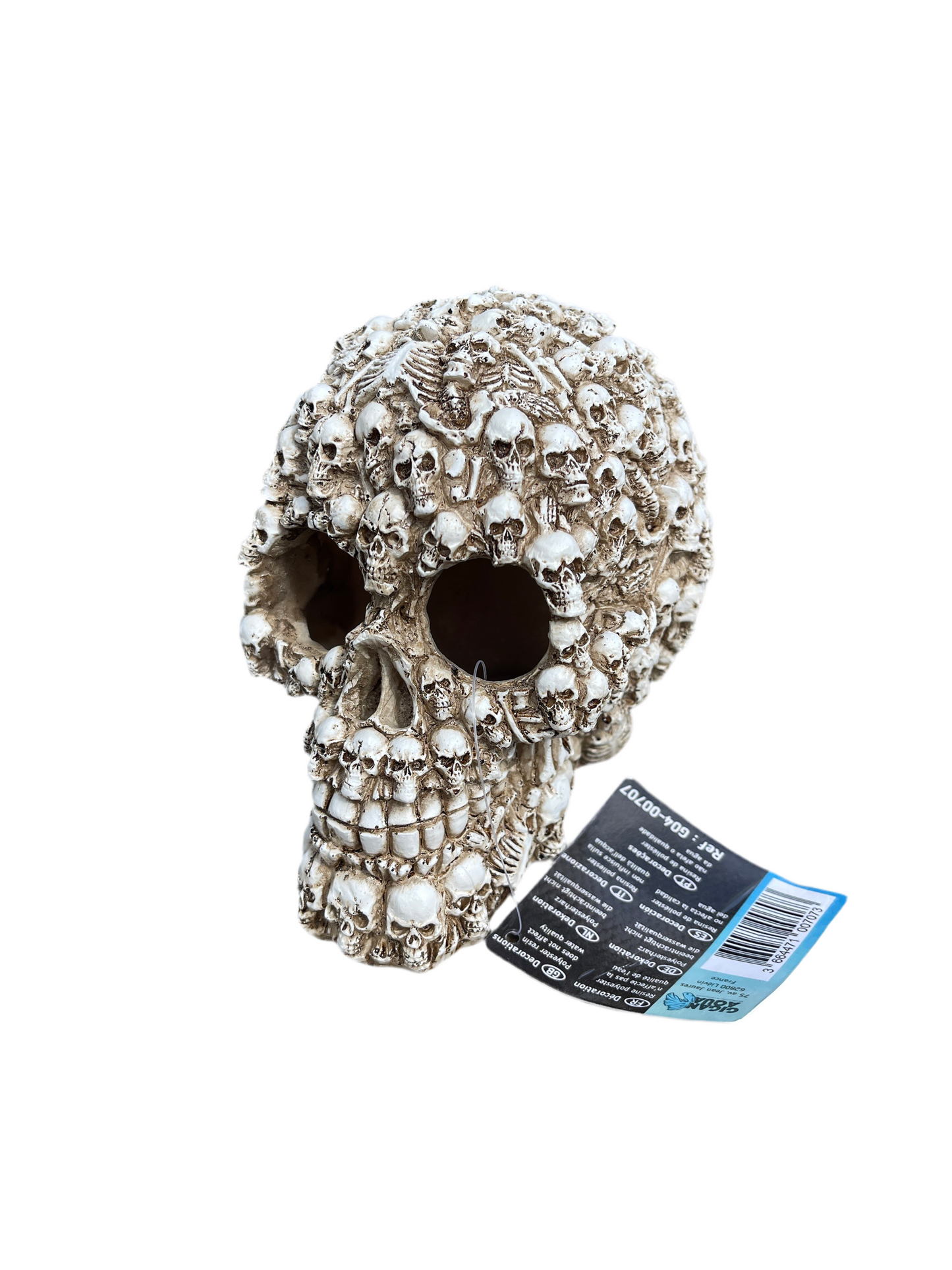 Skull with Skull Carvings