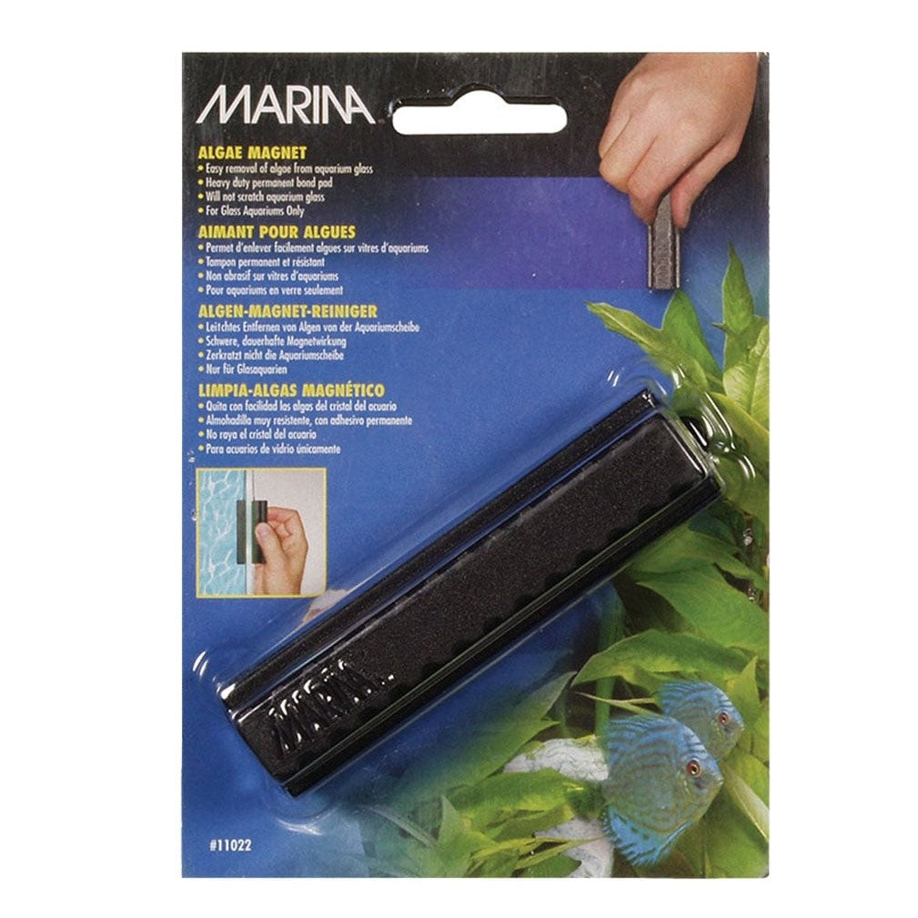 Marina Algae Magnet