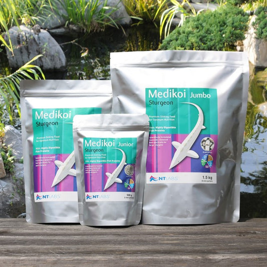 NT Labs Medikoi Sturgeon Food