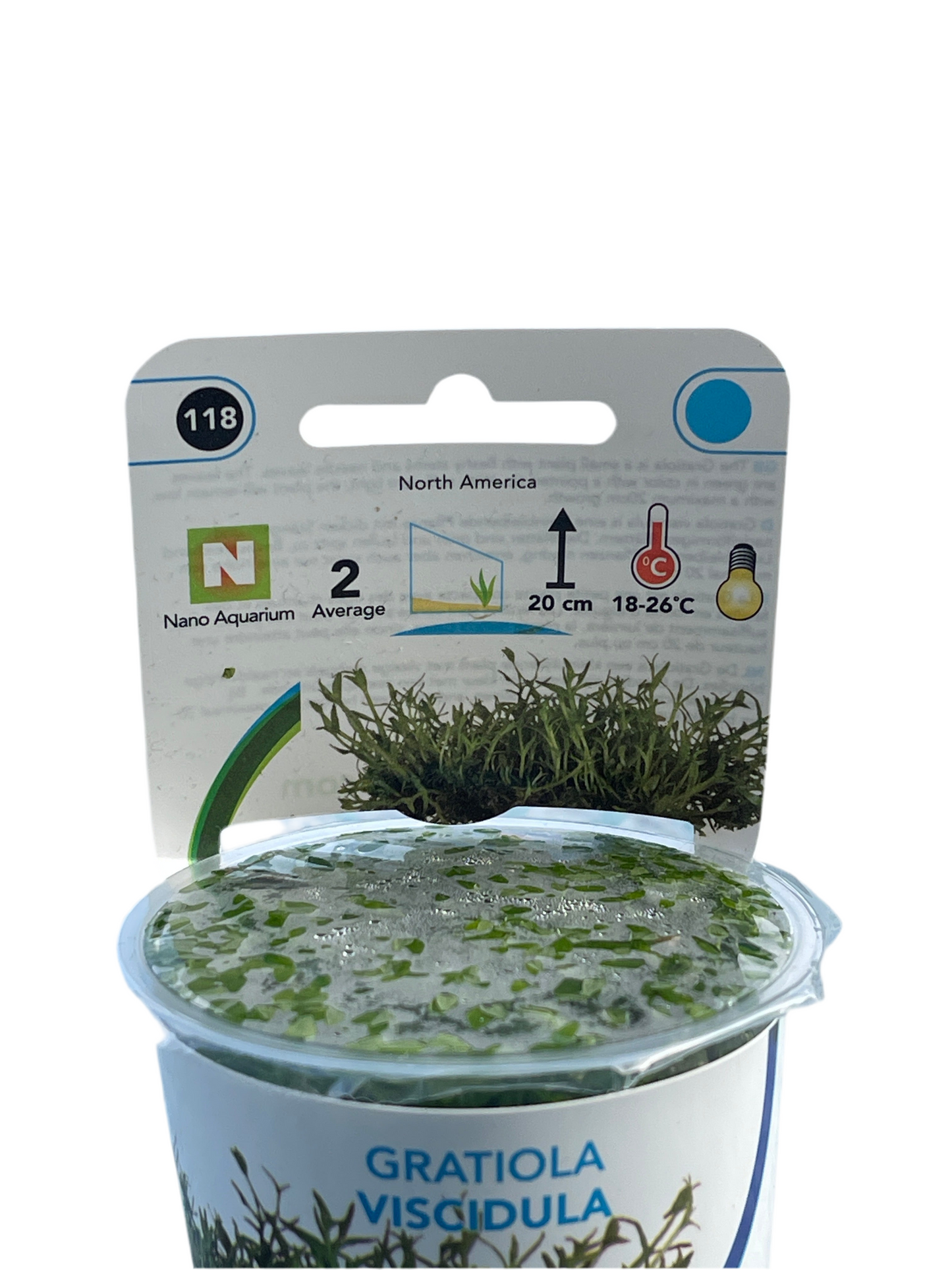 AquaFleur - EasyGrow Gratiola Viscidula