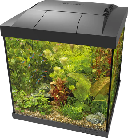 Superfish Start 30 Qube Aquarium