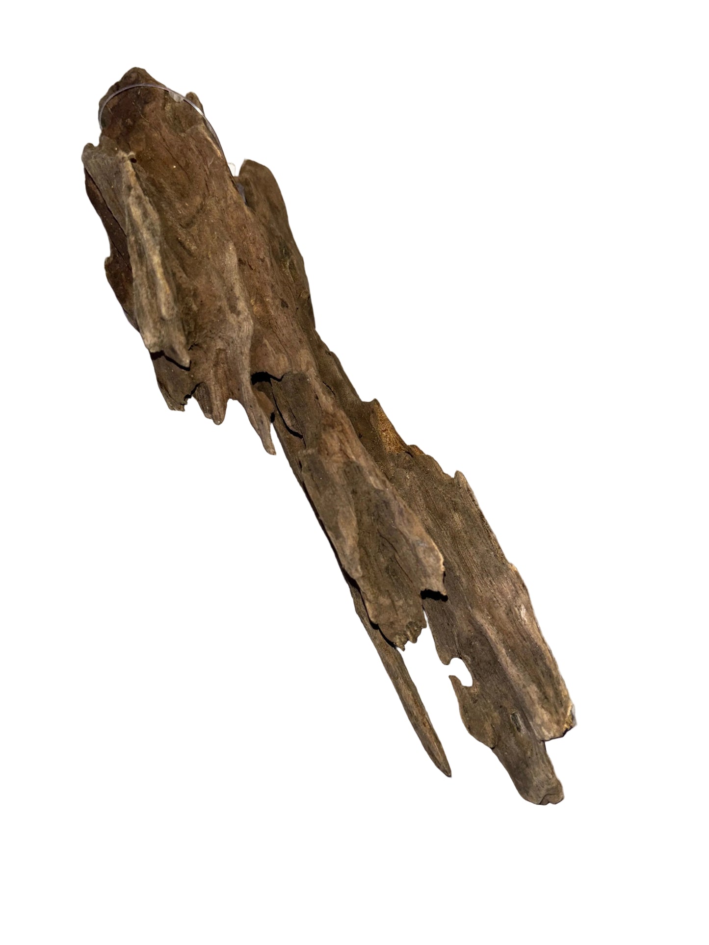 Honeycomb Wood Piece 10-20cm