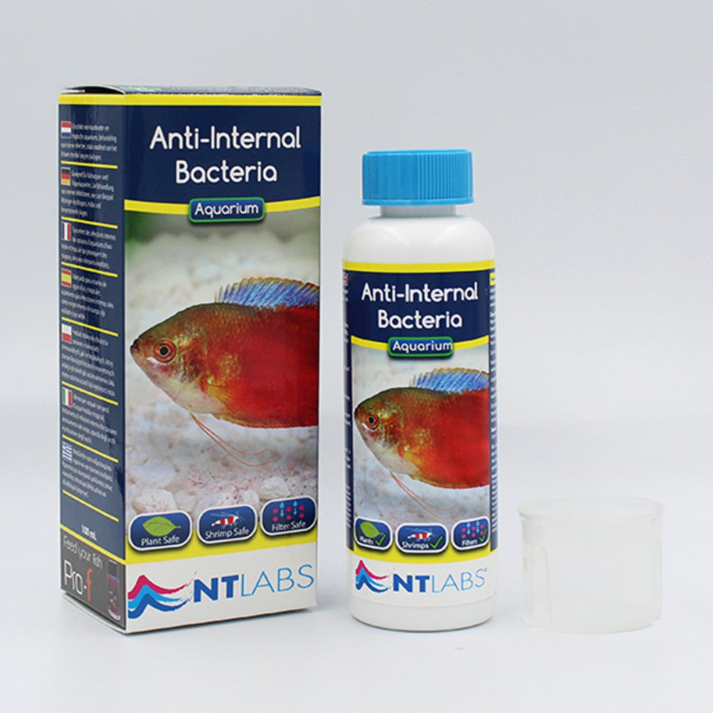 NT Labs Anti-Internal Bacteria