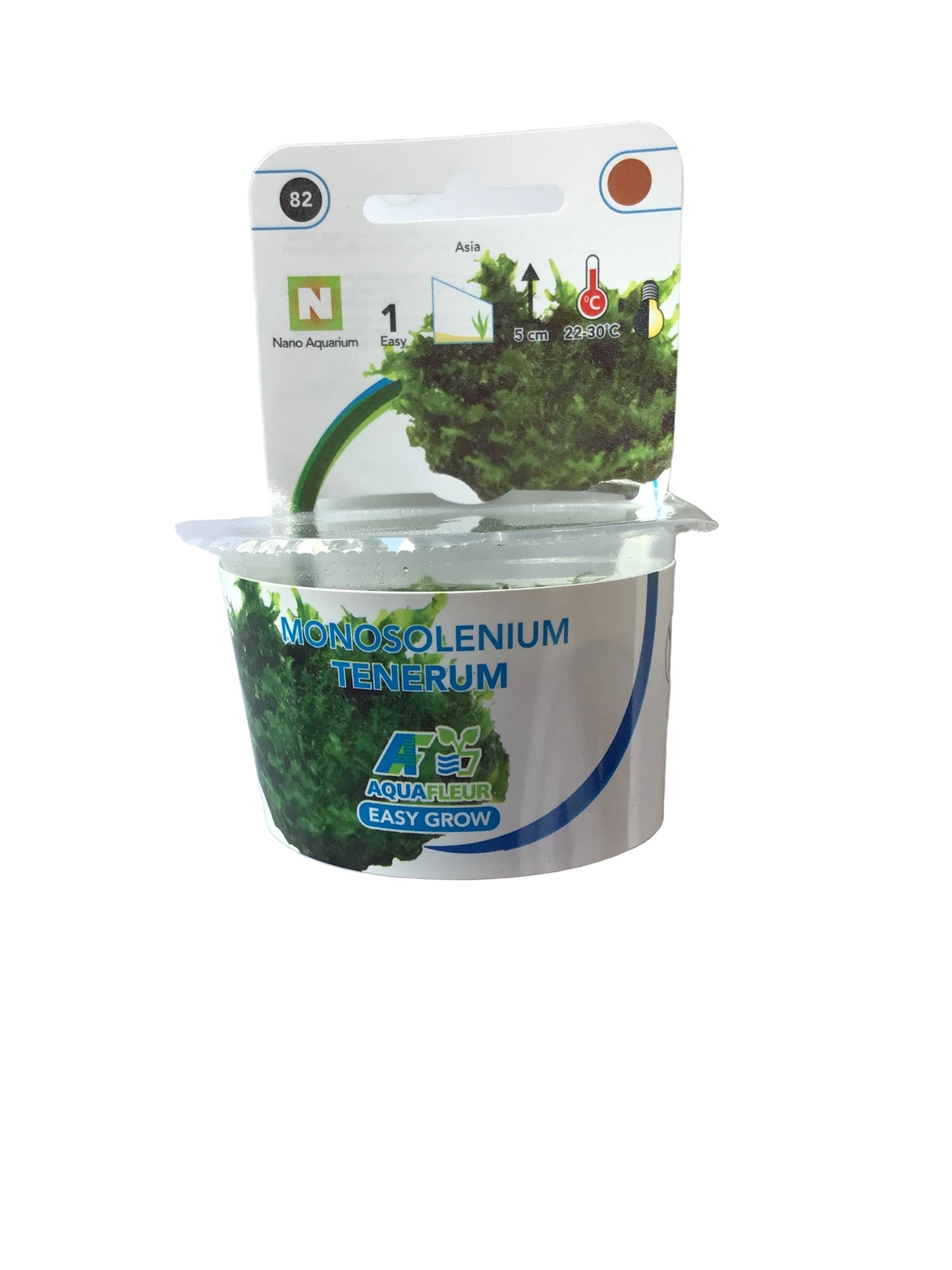 Monosolenium Tenerum Aqua Fleur Easy Grow