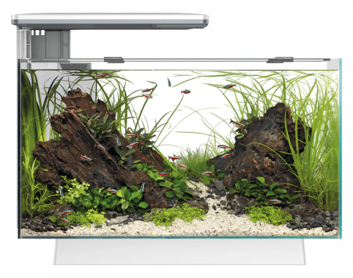 Superfish Quadro 40 Pro Aquarium