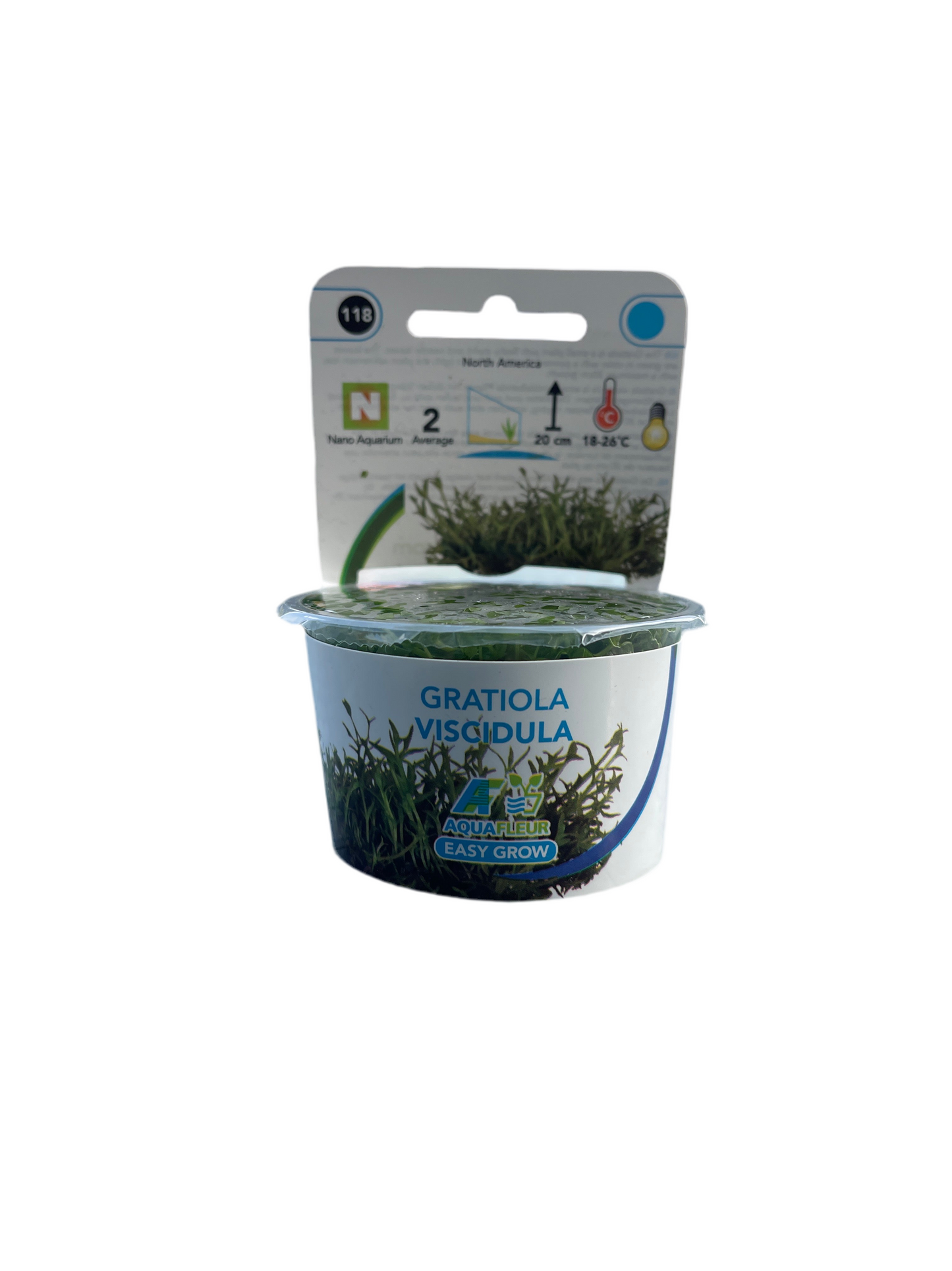 AquaFleur - EasyGrow Gratiola Viscidula